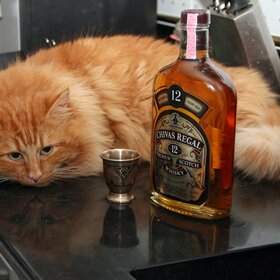 ����. �����. � ����������� ������, � �� ��� ����� �����.