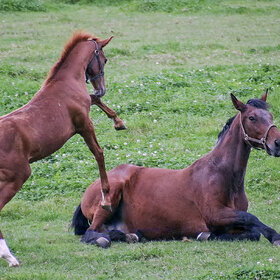 ����� ���� ��������. �� �� ����� ������ !!