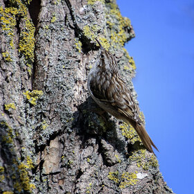 ����. ������������ ������. ������������ ������