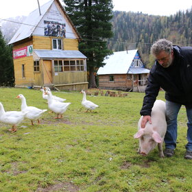 ����� ���� ��������. �������� ��������