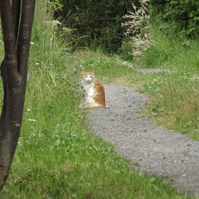 ����. �����. �������