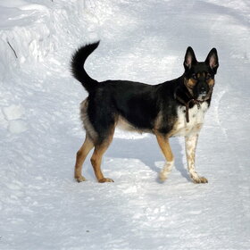 ���� ��������. �� ��������...