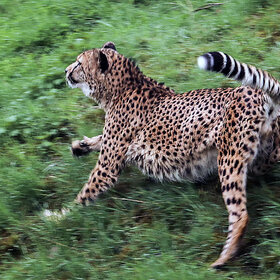 ����. ������. ����� ��������