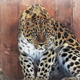 ����. ����� ��������. ����� � �����