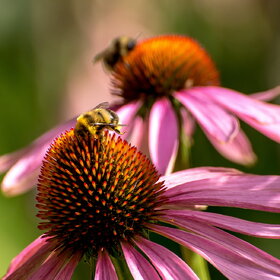 �������