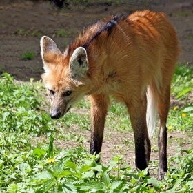 ����. ���� ��������. ��������� ����.