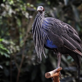 ����. �������� �������. �������� �������