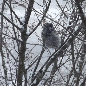 ���� ��������. �� ����� ����