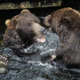 ����. ������� ������. ������� ���� �� �����