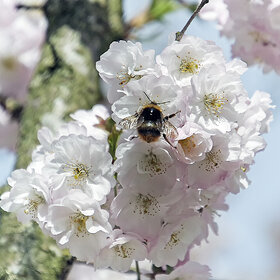 ����. ���� ��������. ������ � ������