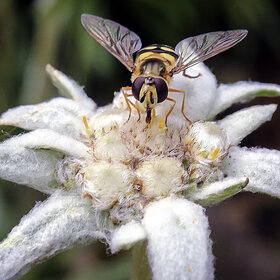 ����. ���������. �� ����������