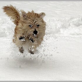 ���� ��������. ������� � �����.