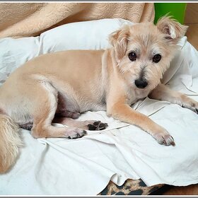 ����. �������� ��������. ������� ����� �������