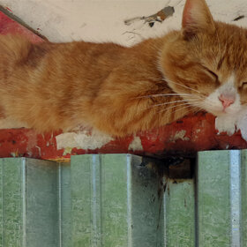 ����. �������. ���,������� ����� �� ���������