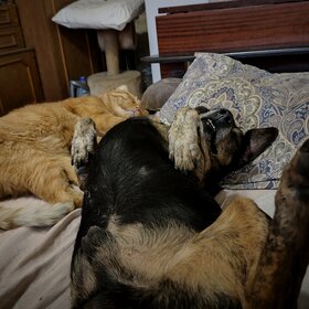 ����. ���� ��������. ����� � �� ������