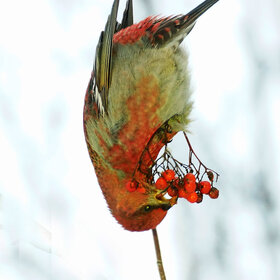 ����. �����. ���