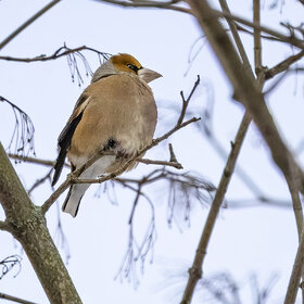 ����. �����. �������