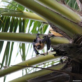 ����. ���� ��������. ��� ������, ��� ���������...