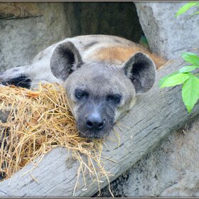 ����. ���� ����. �����