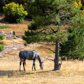 ����. ��������. ������� � �����