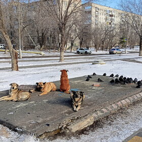 ����. ���������. ����� ��������� ������...