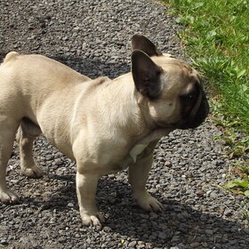 ����� ���� ��������. �����