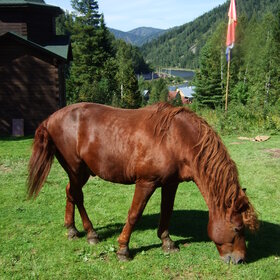 ����. ���� ��������. �������� ��������