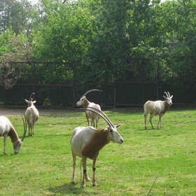 ����. ������. � ����������� ����