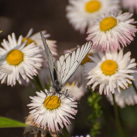 �������