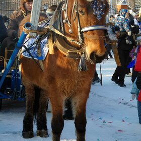 ����. ��������. ������