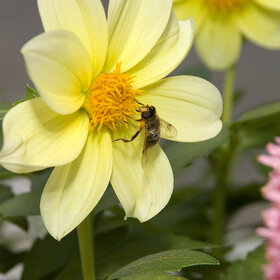 �������