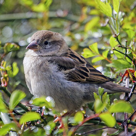 ����. �����. ���������