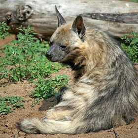 ����. ����� ���. ��������� �����.