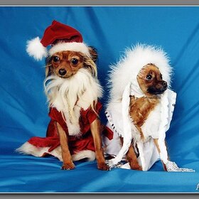 ����. ���� ��������. ��� ����� � ���������� ��� ������ ������ � ���.