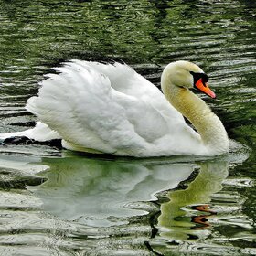 ����� ���� ��������. ������ ����� ������...