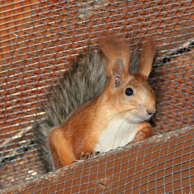 ����. Aivanovich. �� ������ ��� ������...