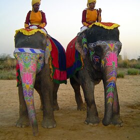 ����. ���������. ���������.