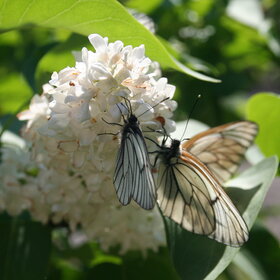 ����. �������. �������