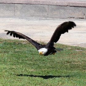 ����. �����. ���� ����, ������.