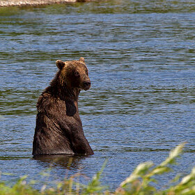 ����. �����_�������. 044. �� ������, ���� ������̈��!