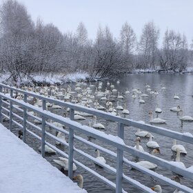 ����. �����. ��������� �����