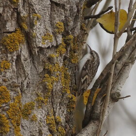 ����. �����. ������������ ������