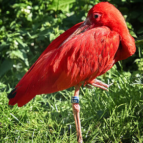 ����� ���� ��������. ������� ����