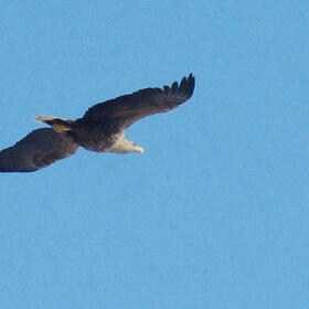 ����. ���������. �����-���������