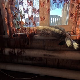 ����� ���� ��������. ����� ����!!!!