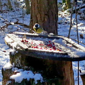 ����. ������. ������ ��������...