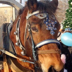 ����. ����. � �������� �������