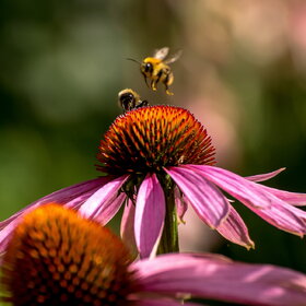 �������