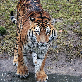 ��� �� �� ���� ������