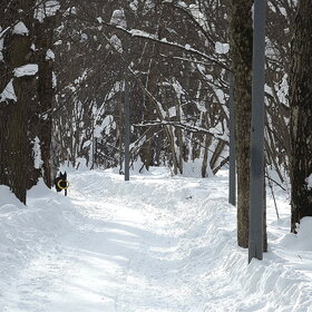 �������� �������